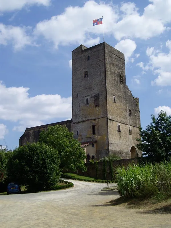Château de Thibault de Termes