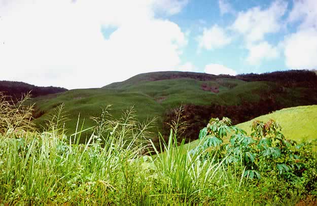 Tirgua National Park