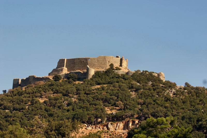 Abu Qubays
