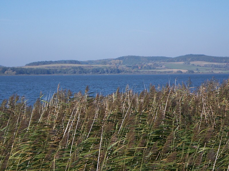 Lake Malchin