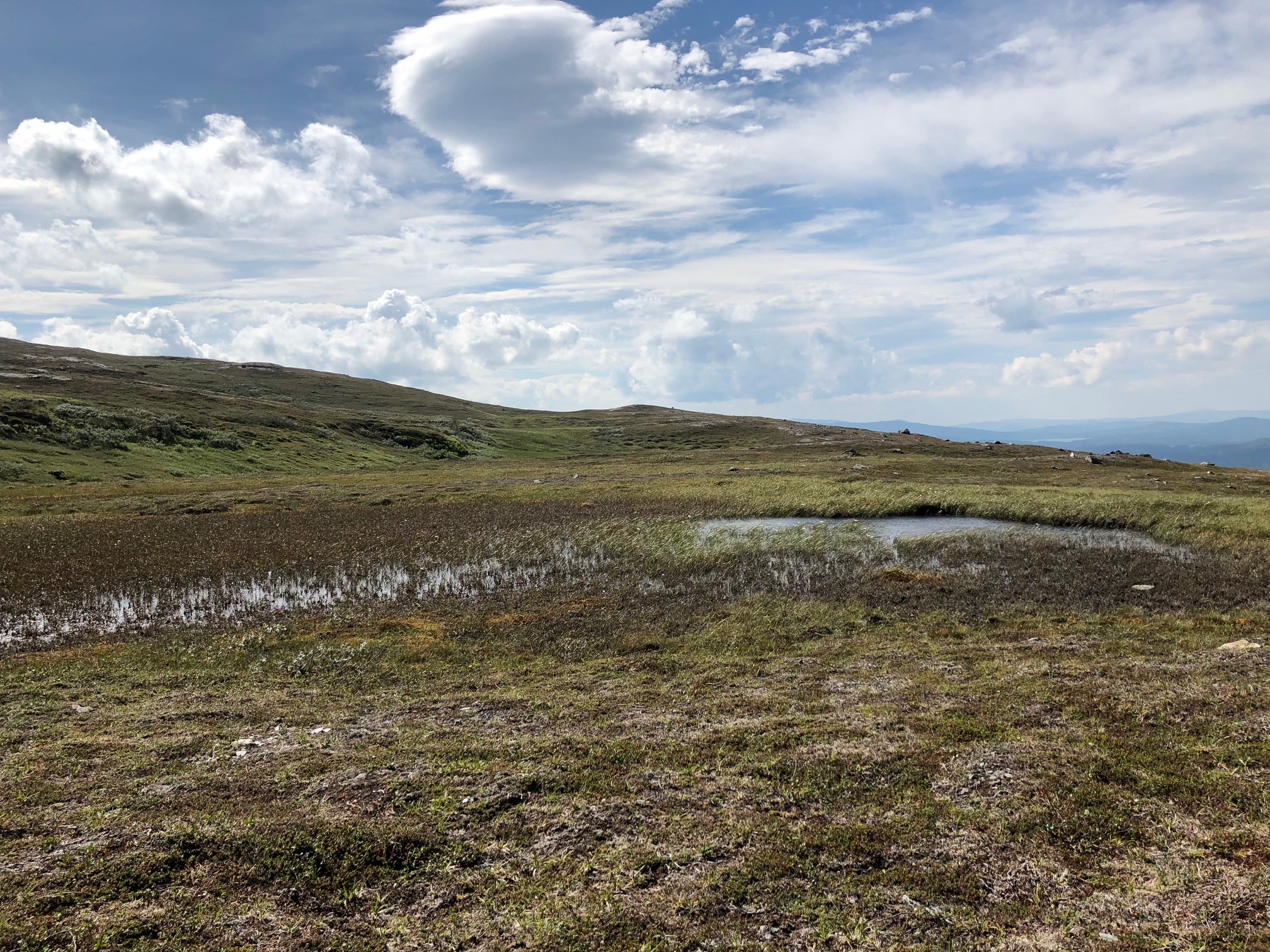Lierne National Park