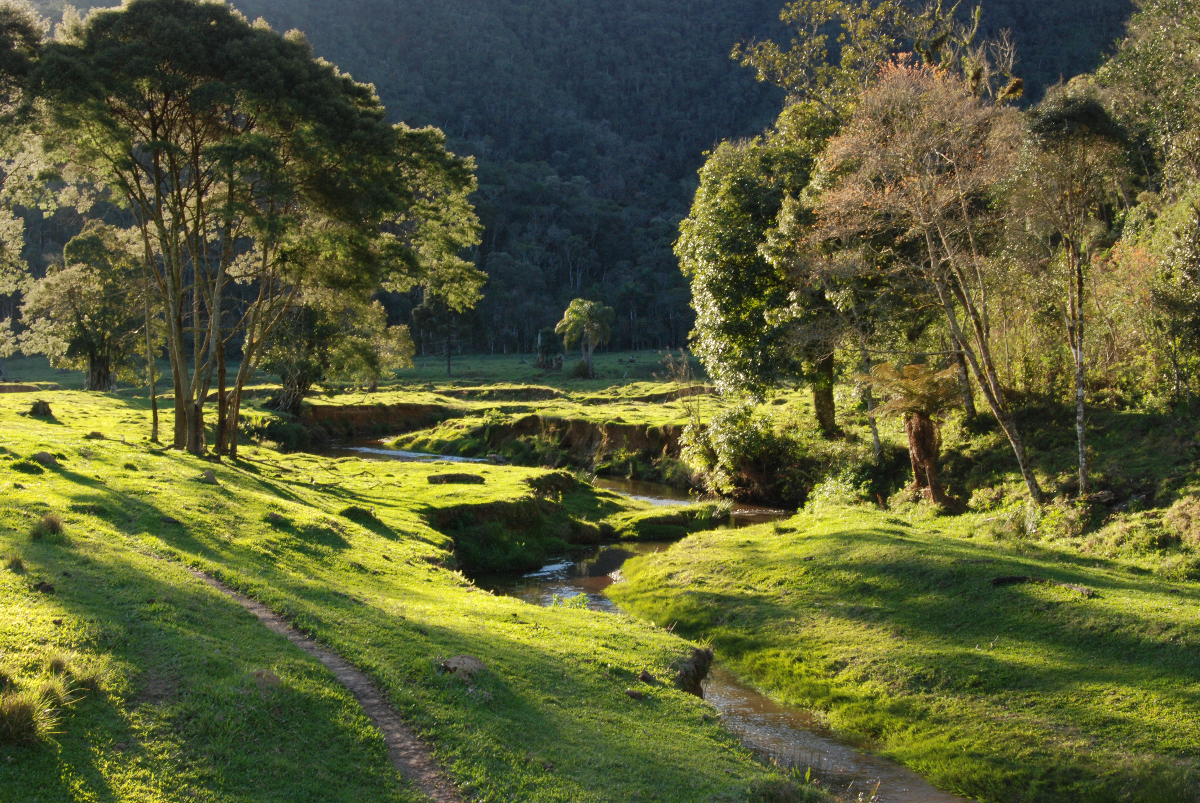 Serra do Itajaí National Park, Brazil