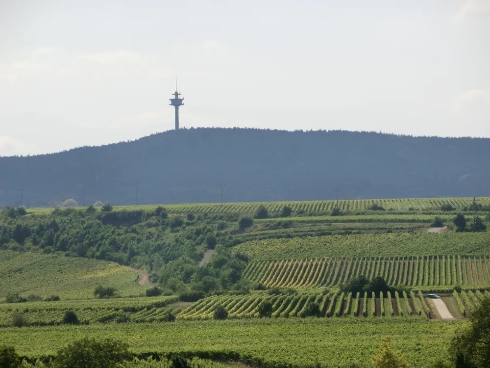 Weilerskopf