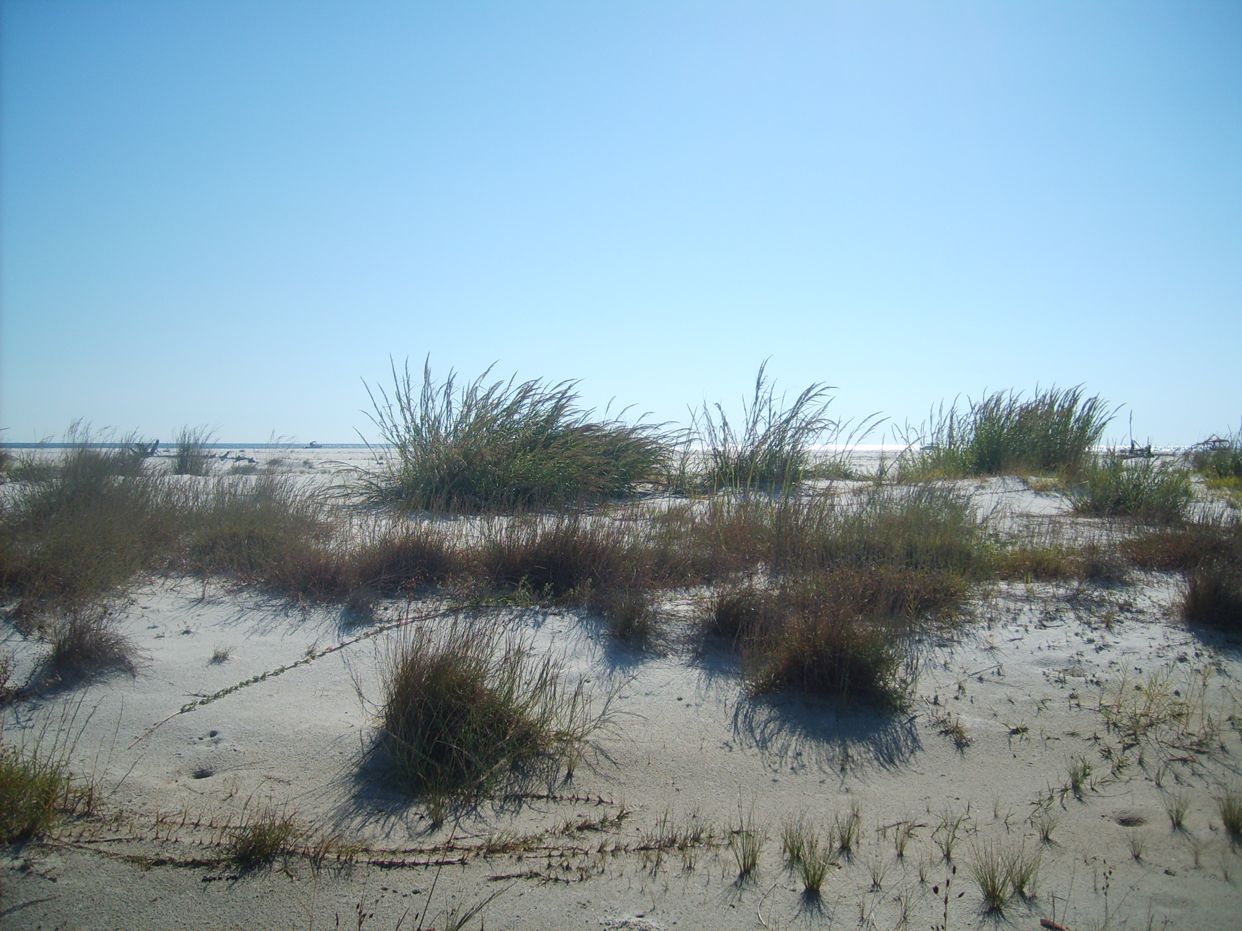 Horn Island