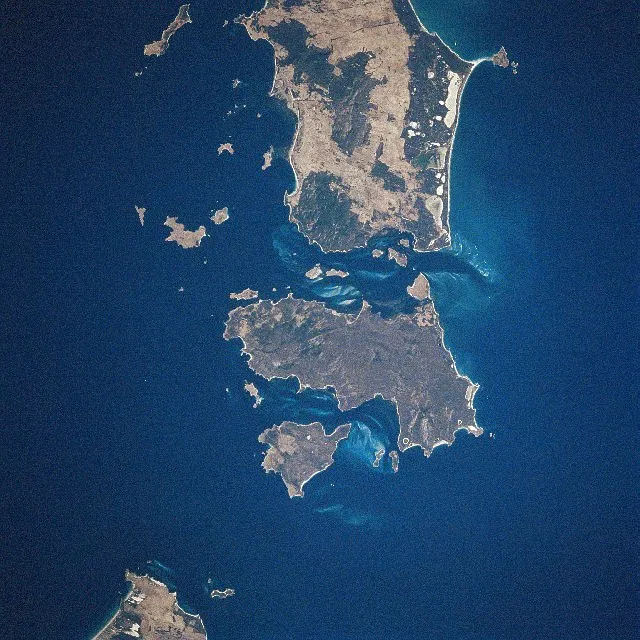 Great Dog Island