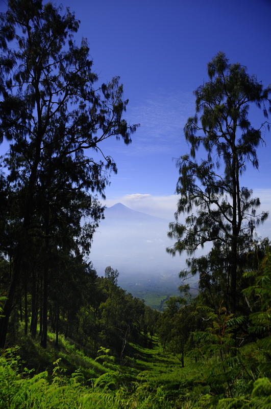 Batu, Indonesia
