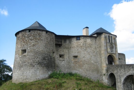 Vieux Château (Mauléon-Licharre)