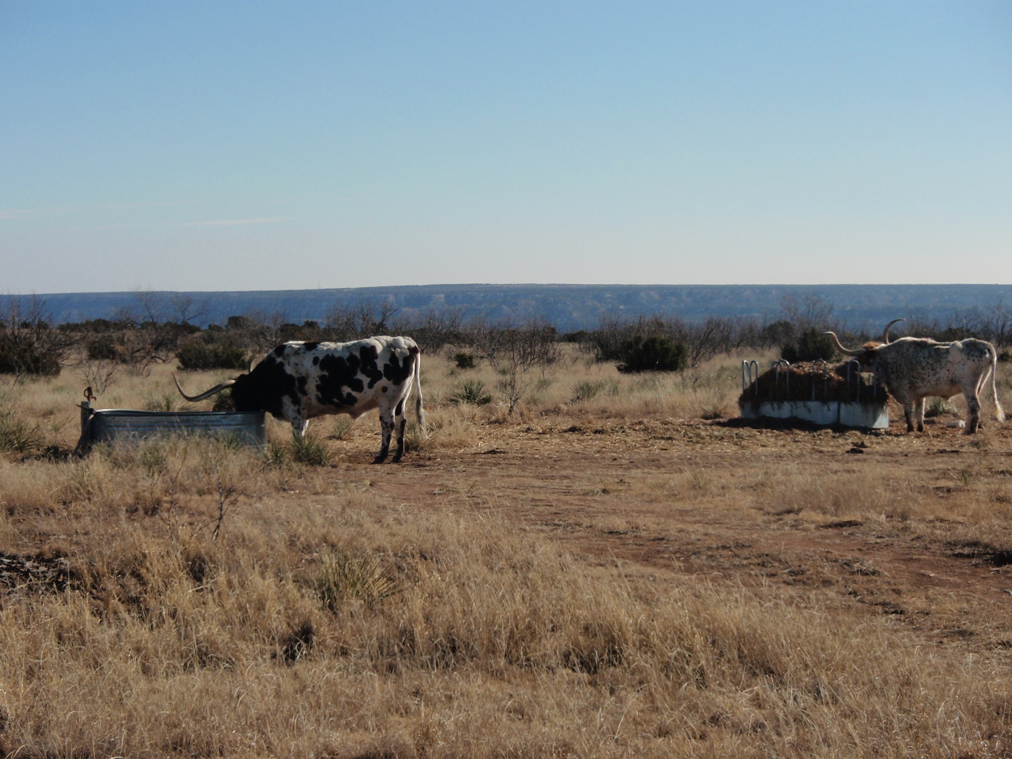 High Plains, United States