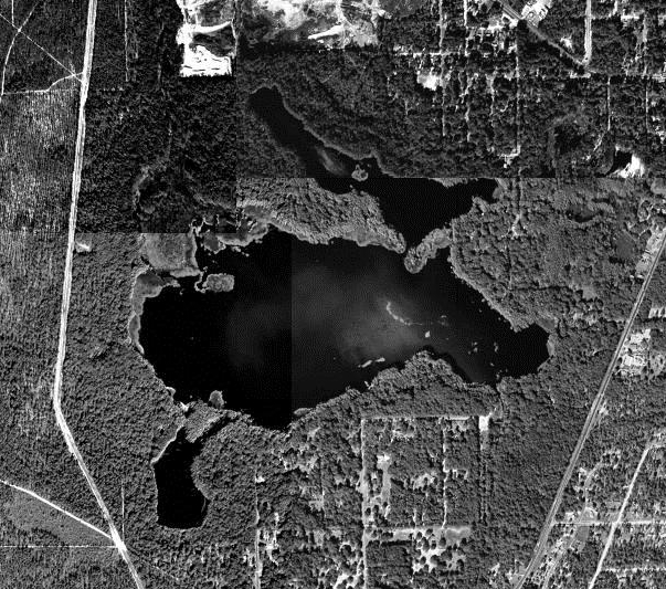 Lake Munson