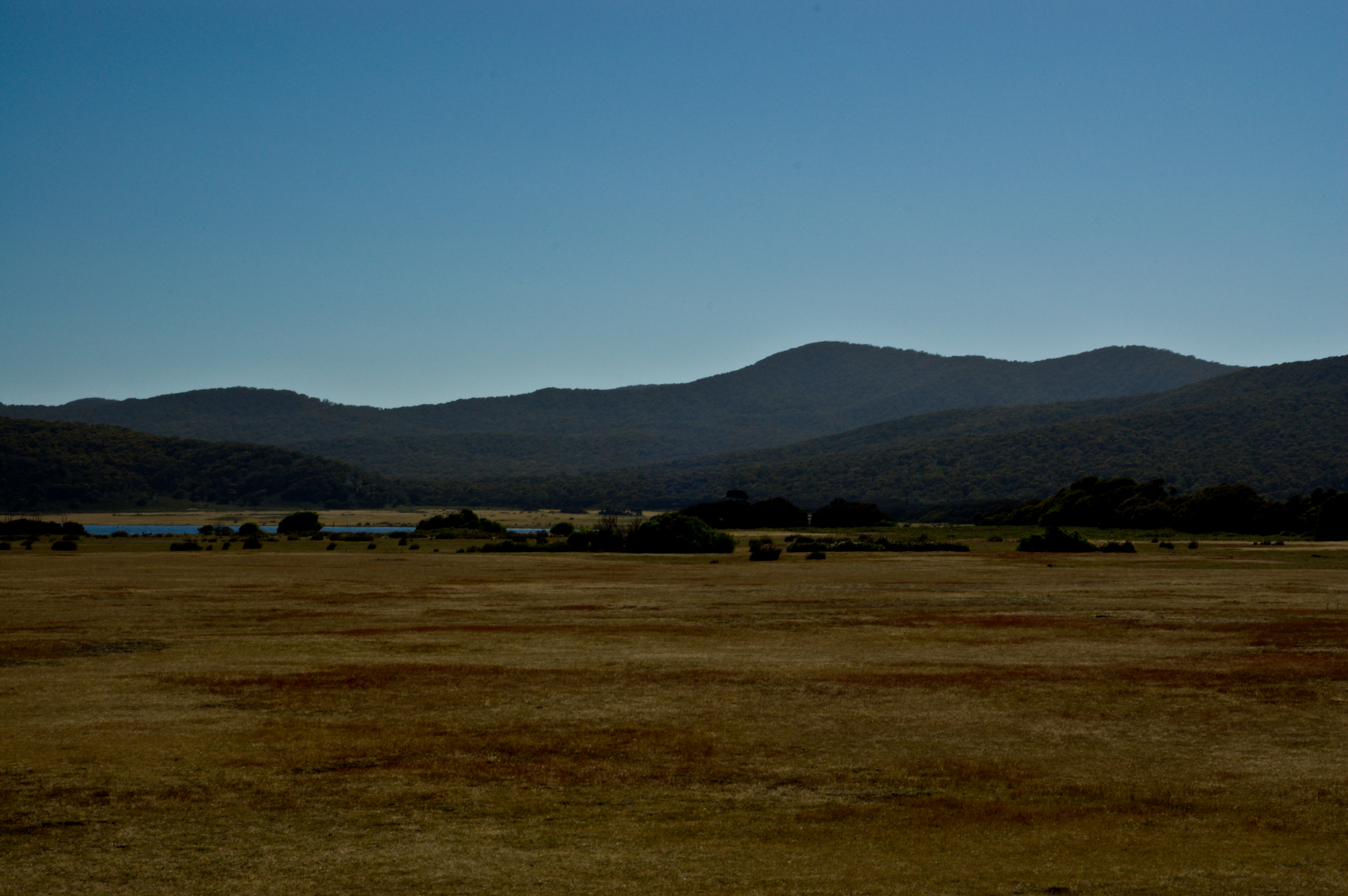 Narawntapu National Park