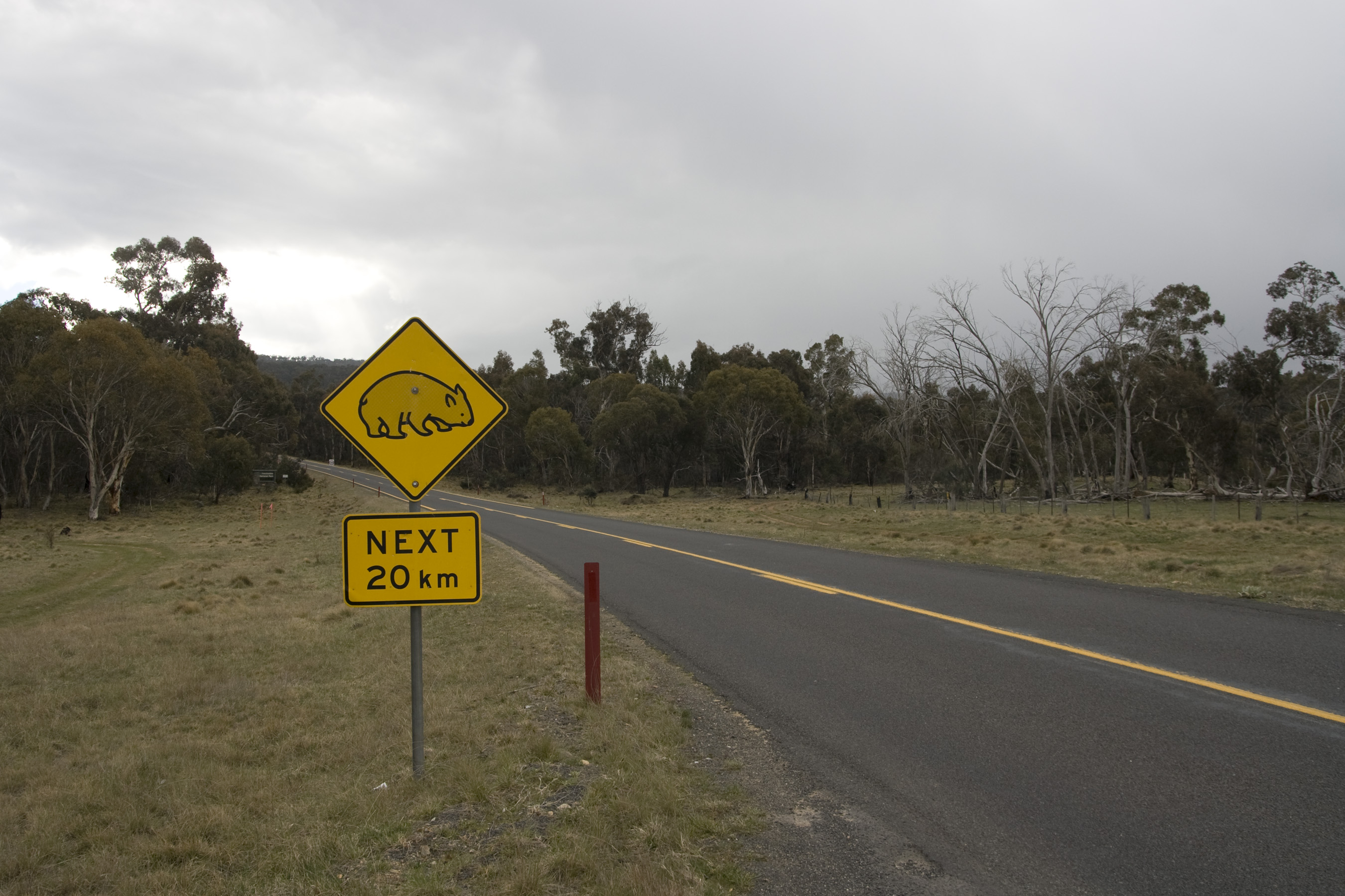 Adaminaby