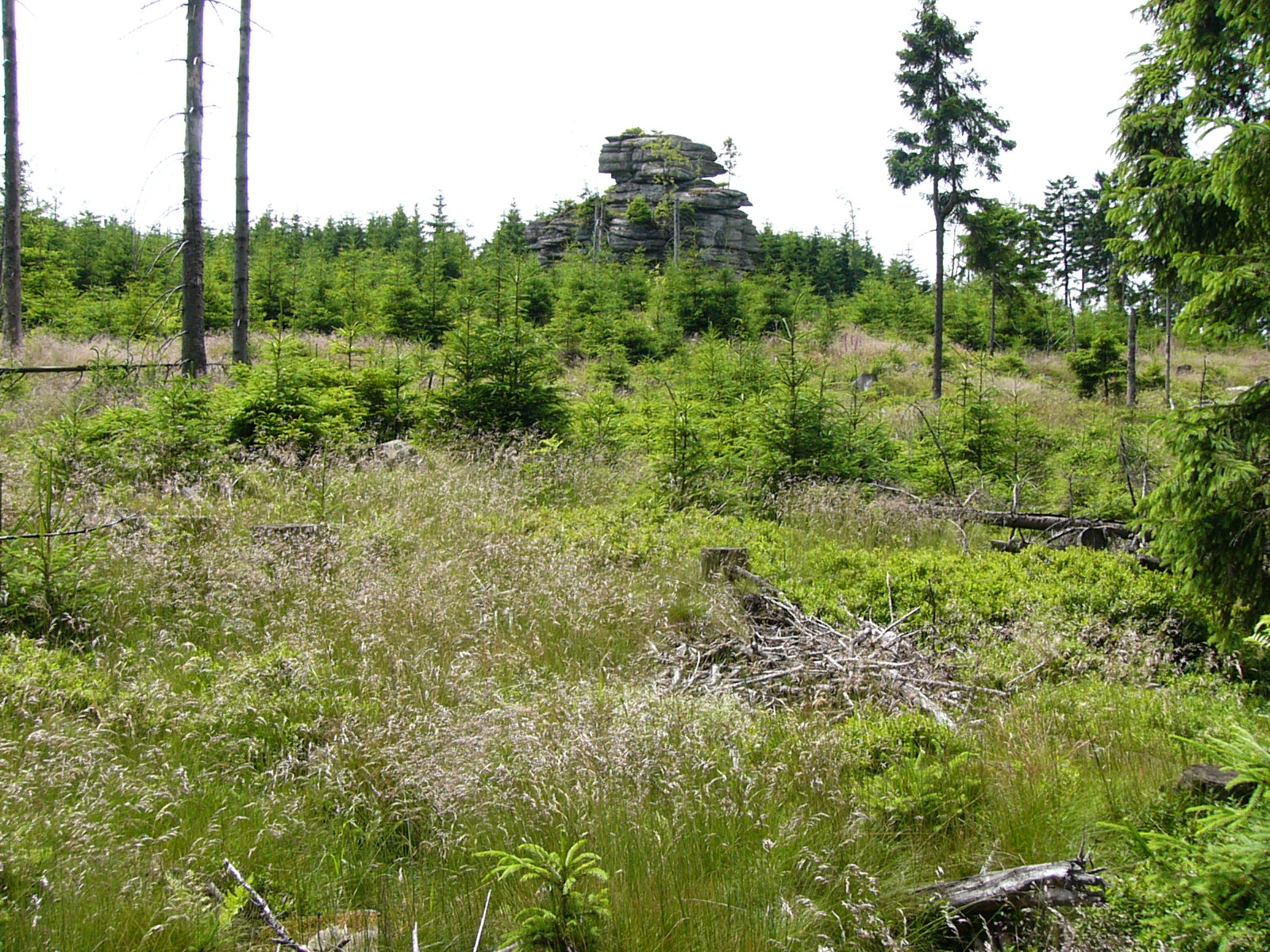 Bergkopf