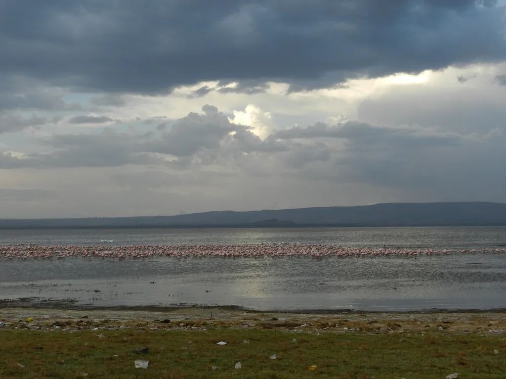 Lake Nakuru National Park, Kenya
