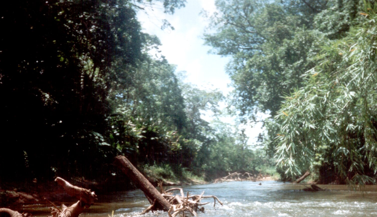Río Plátano Biosphere Reserve, Honduras