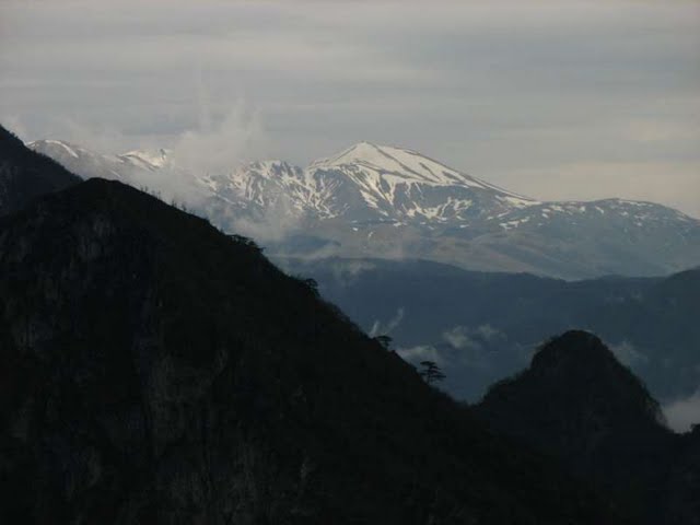 Crvanj
