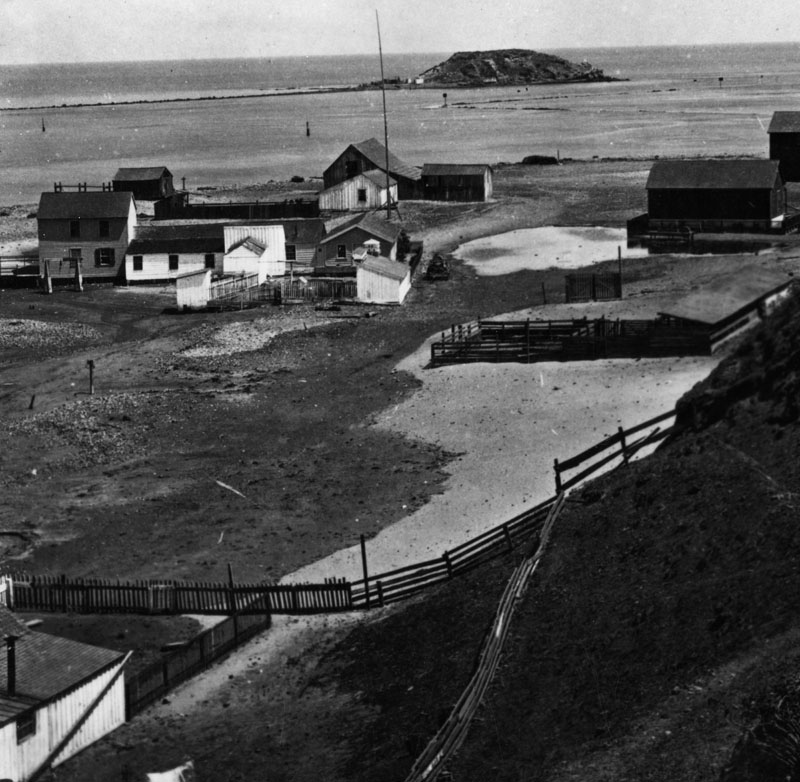 Deadman's Island