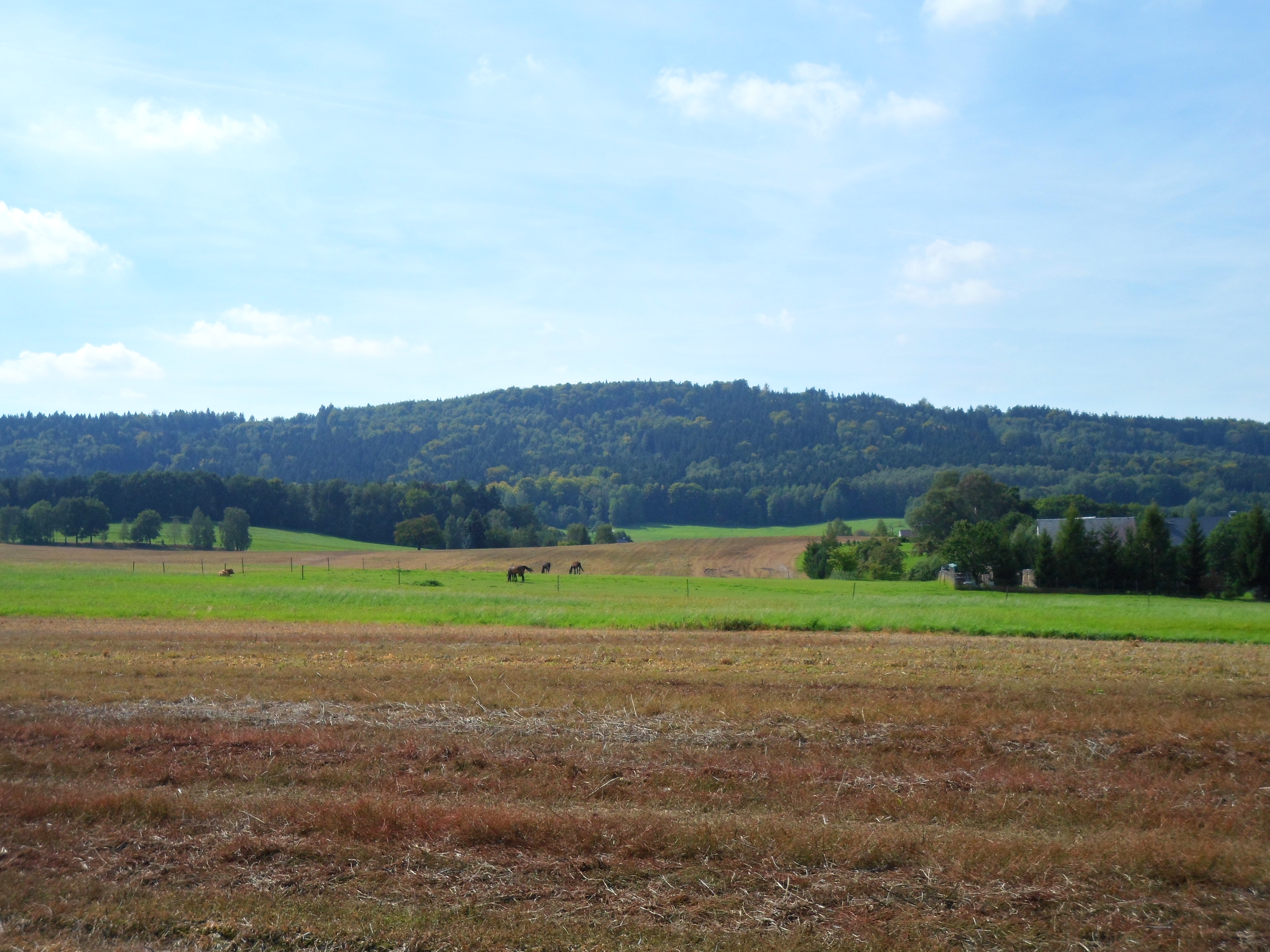 Hochstein