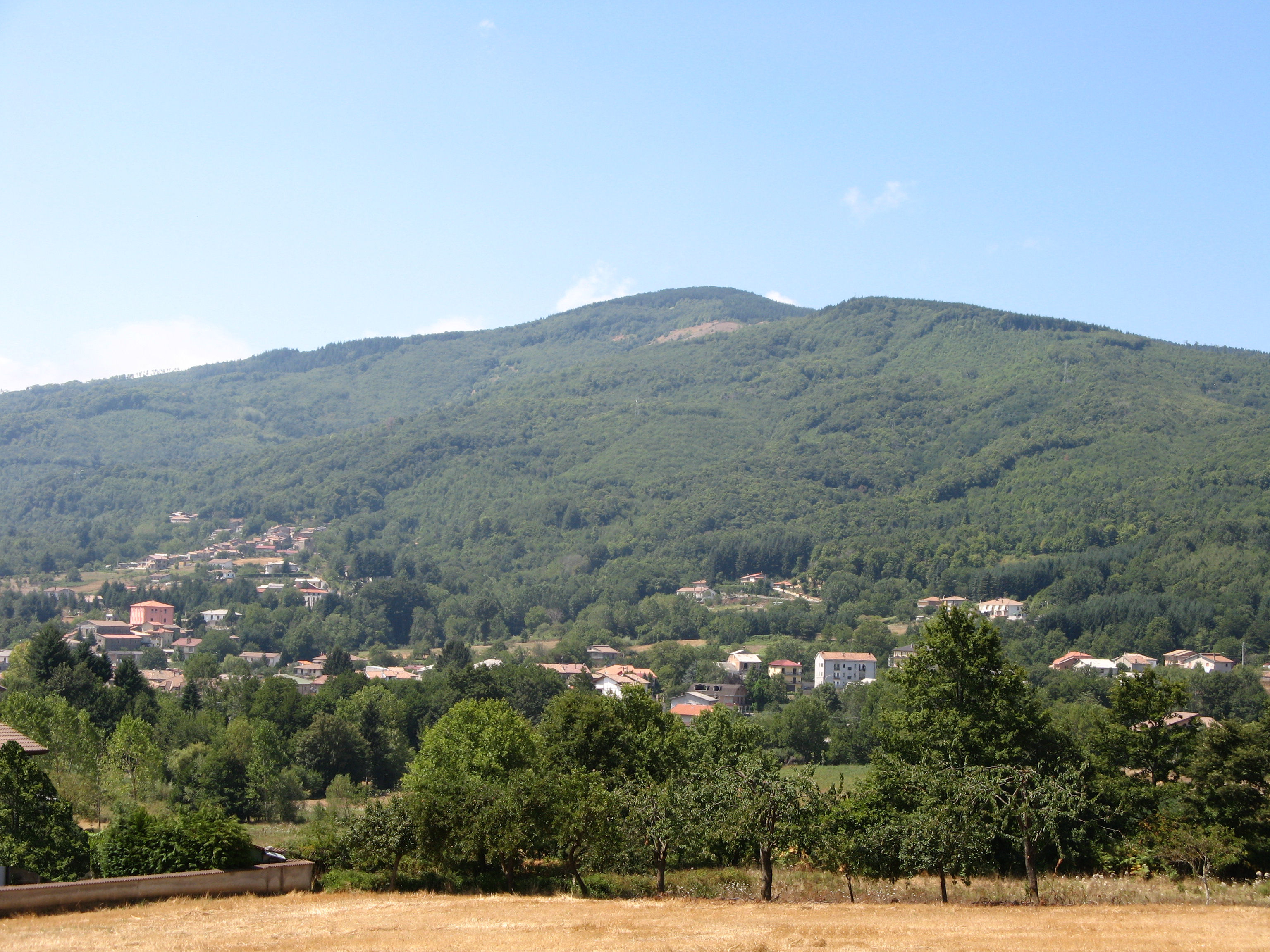 Reventino