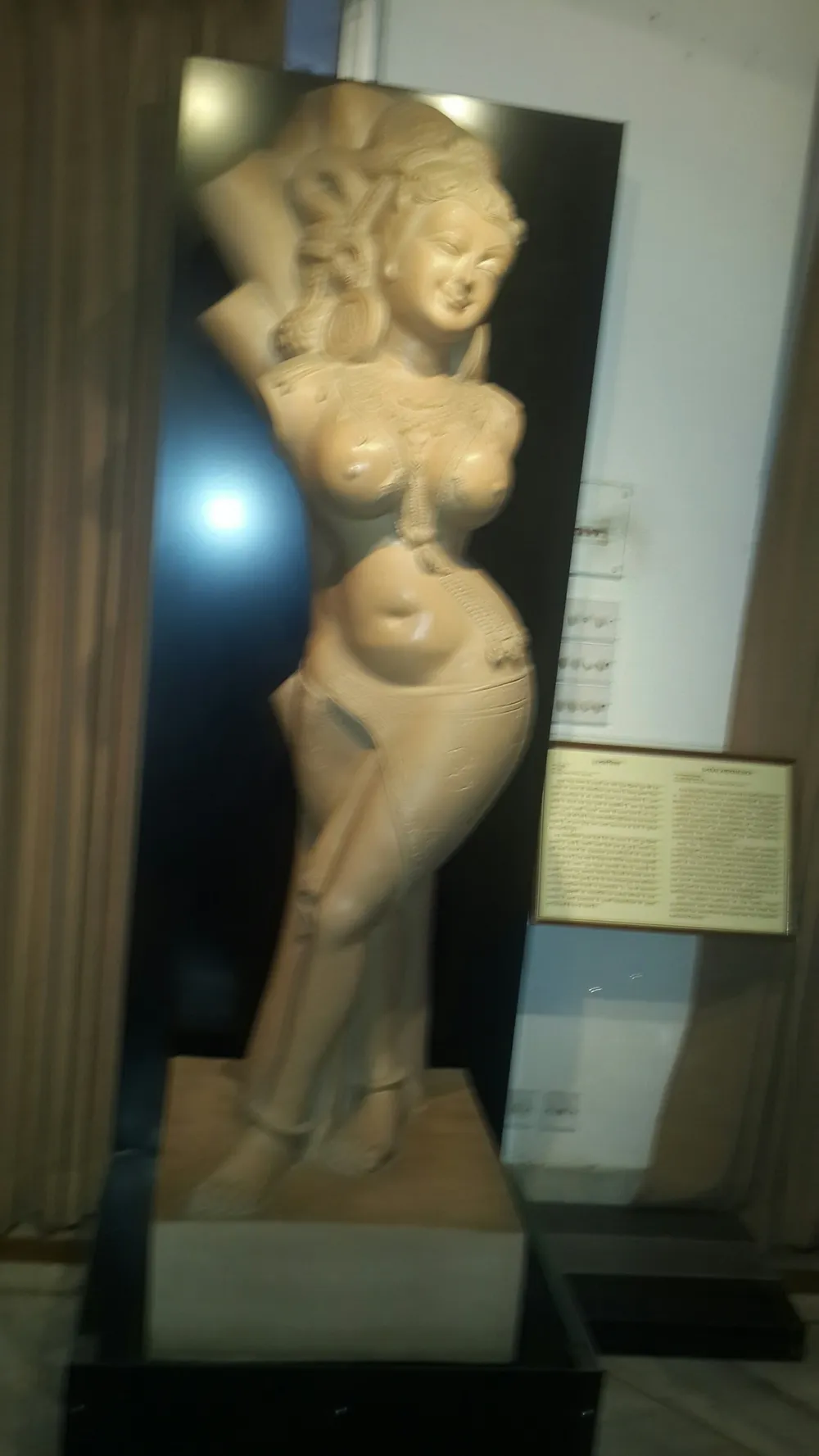Children's Museum, Siri Fort
