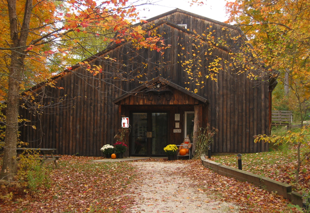 Birds of Vermont Museum