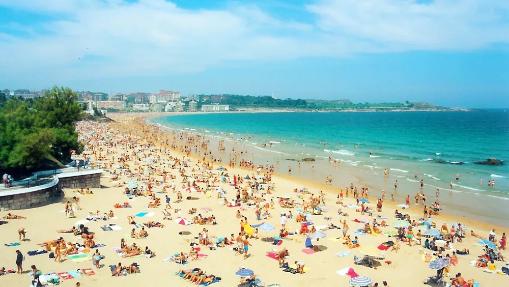 Sardinero