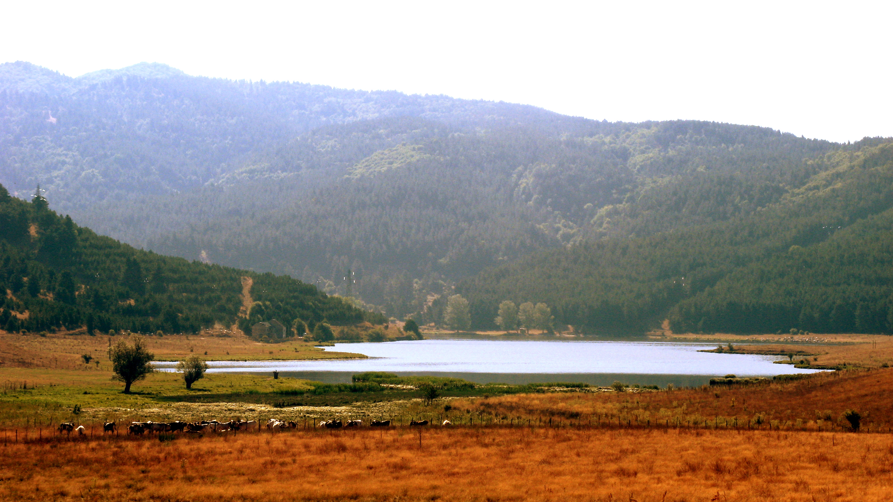 Sila National Park