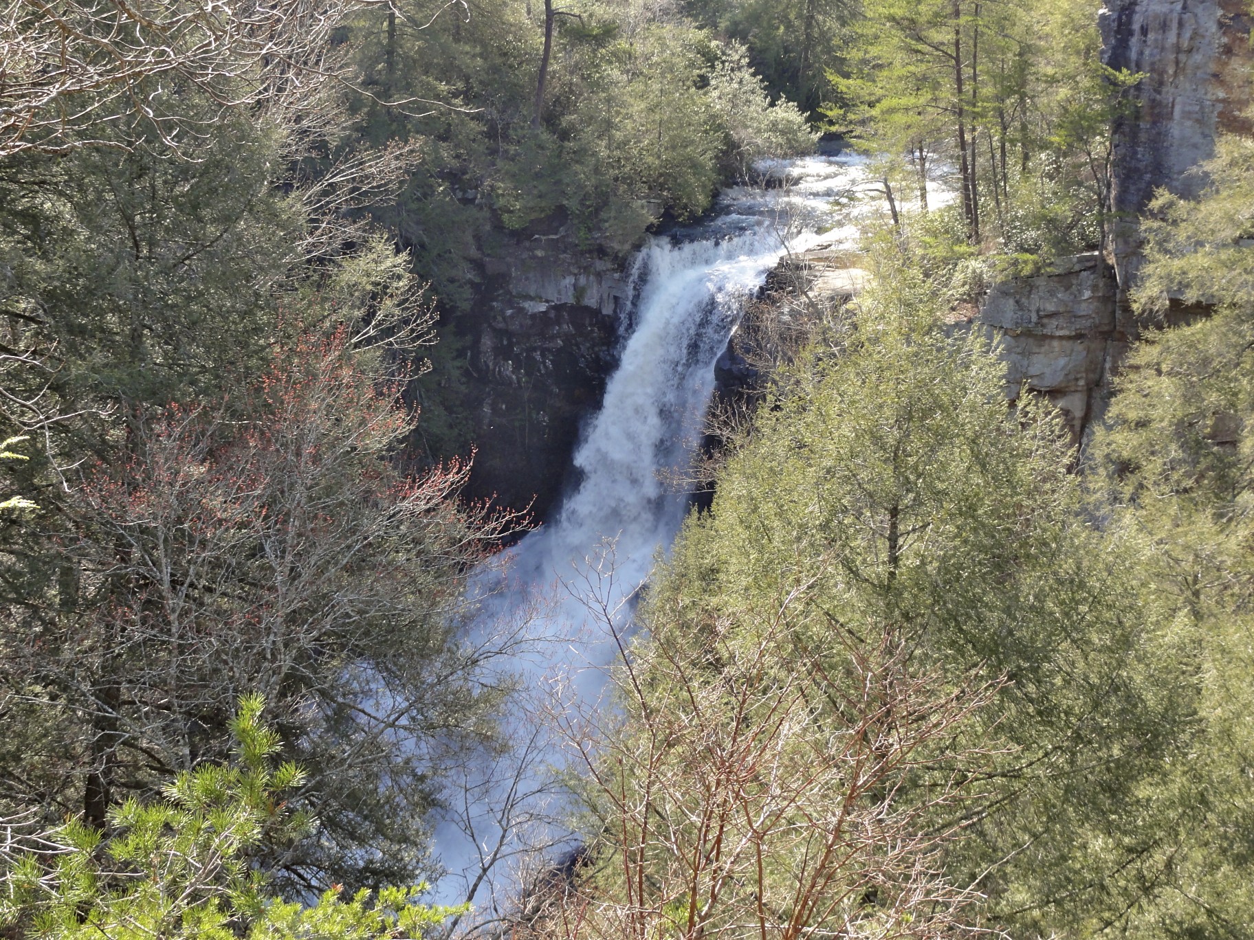 Piney Creek Falls