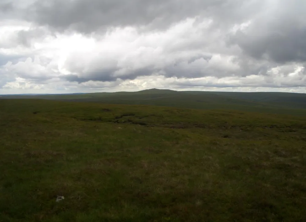 Gorllwyn