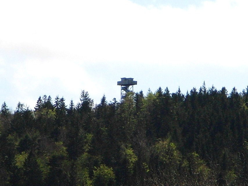 Oberfrauenwald