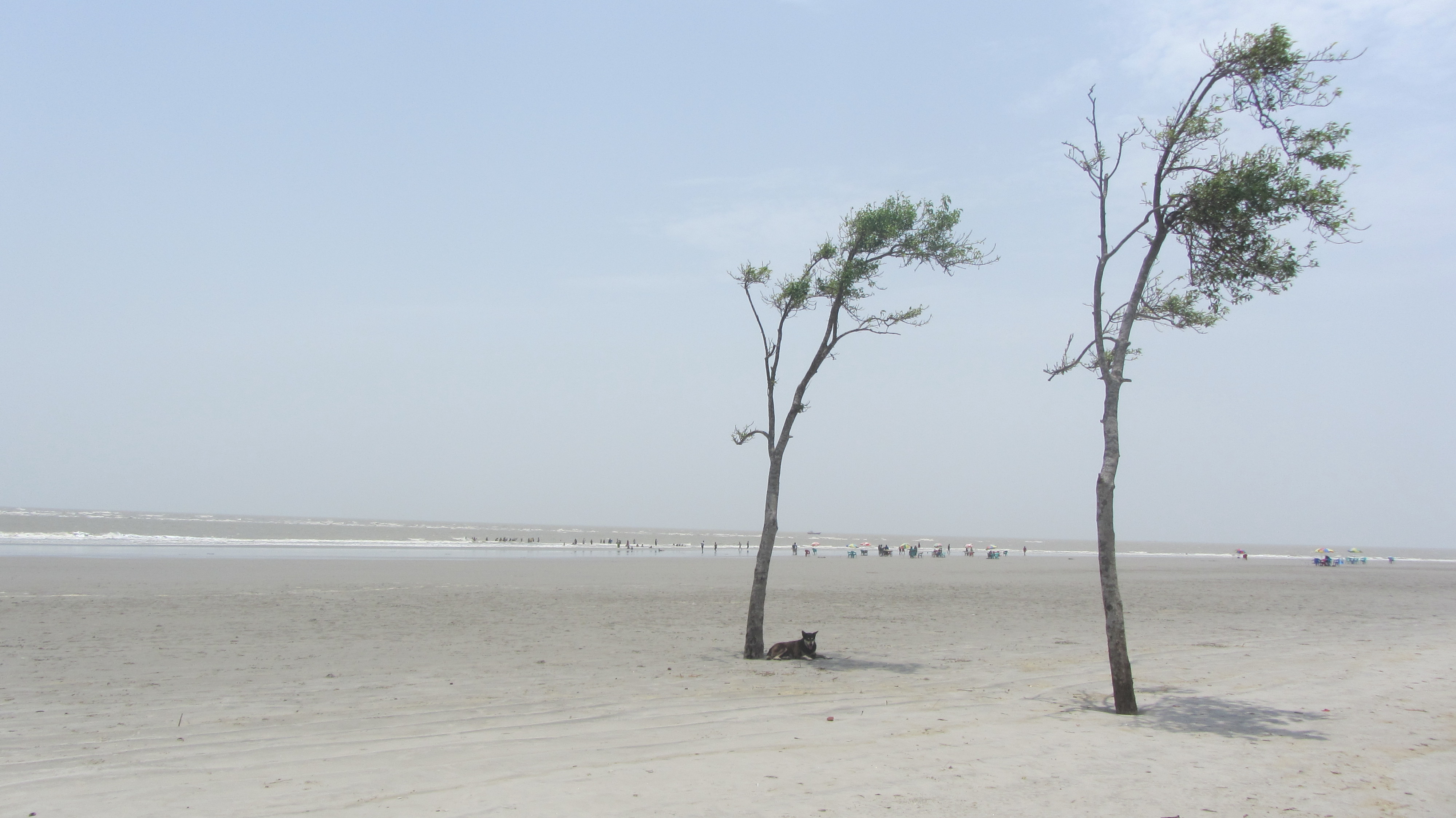 Bakkhali, India
