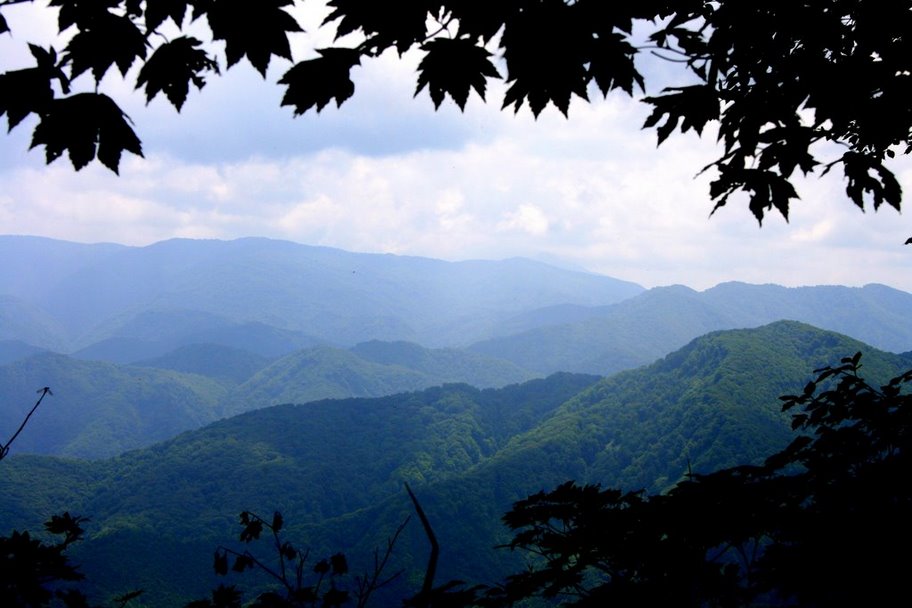 Shirakami-Sanchi, Japan