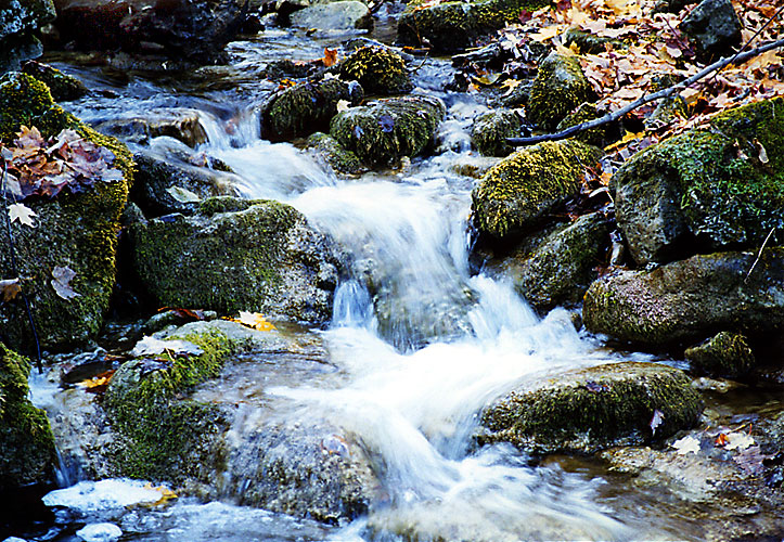 Bruce Trail