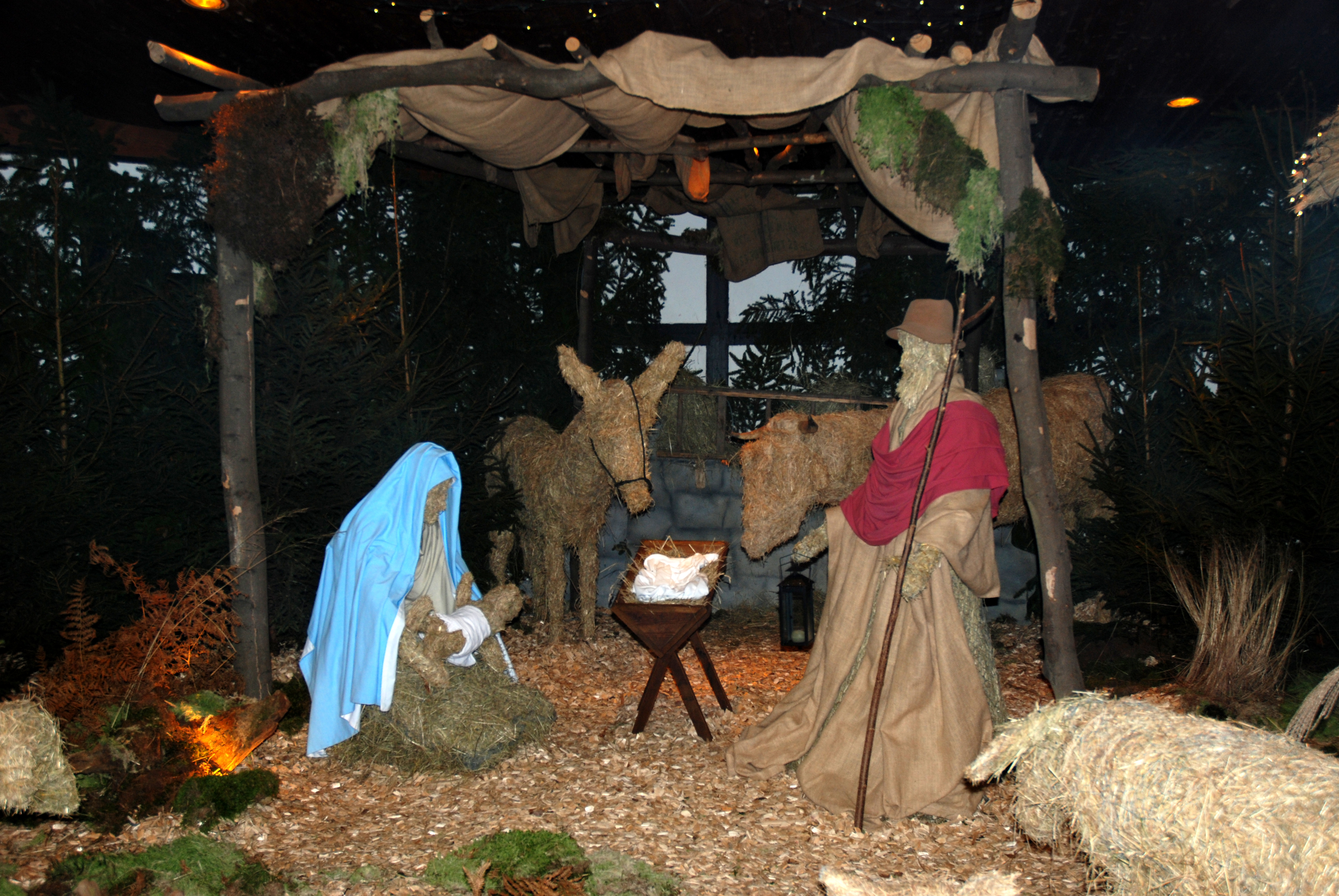 Christmas and New Year travel