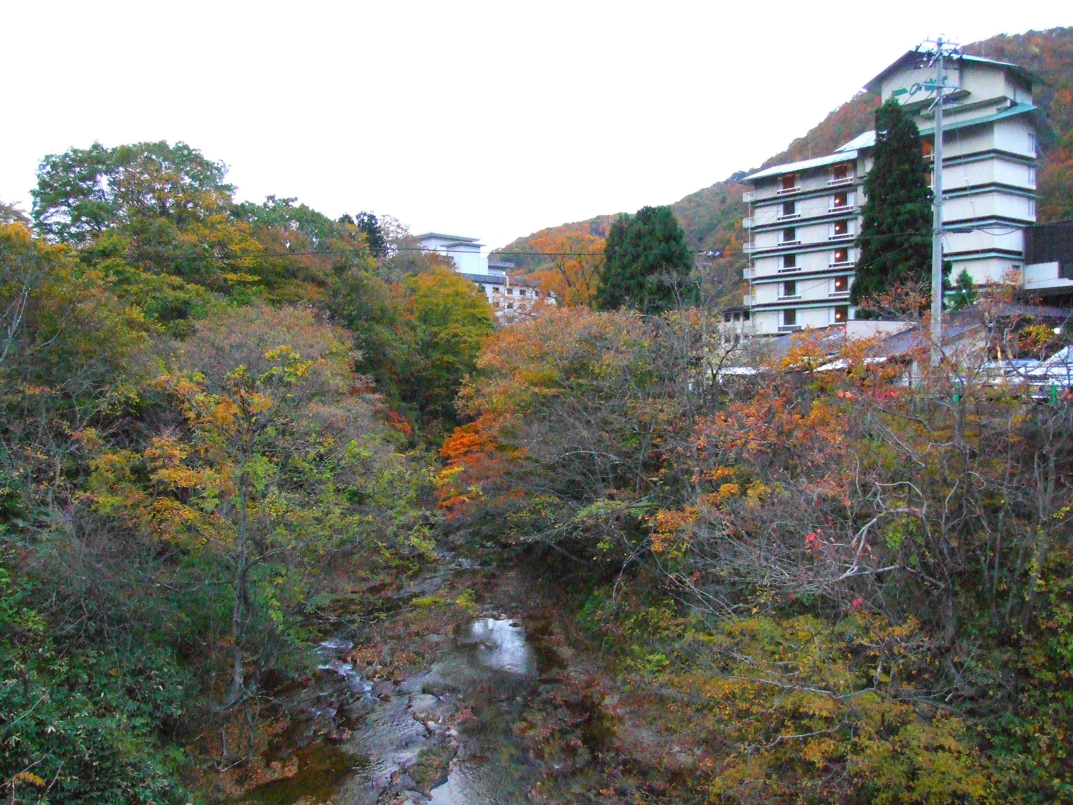 Sakunami Onsen, Japan