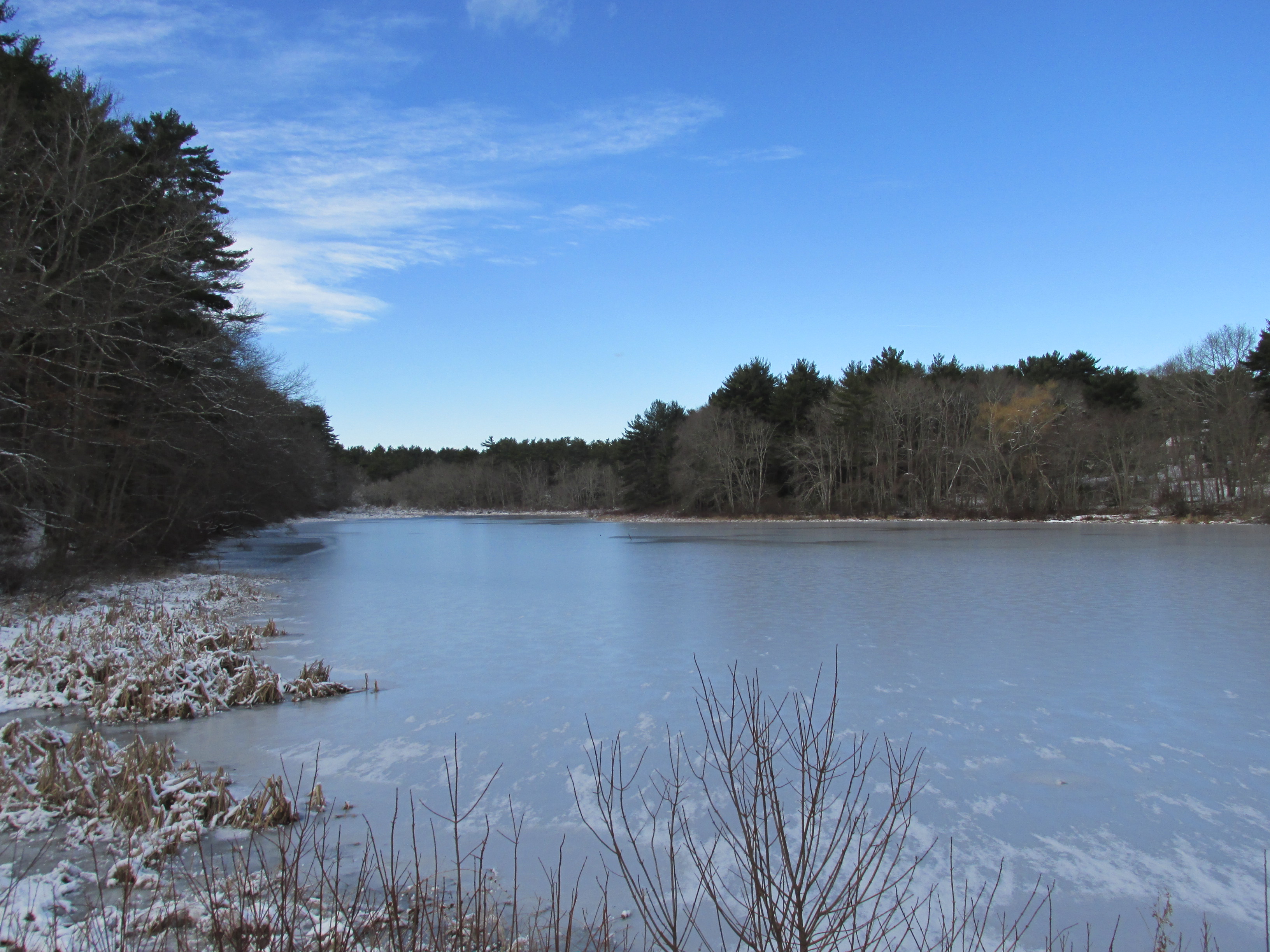 Mill Pond