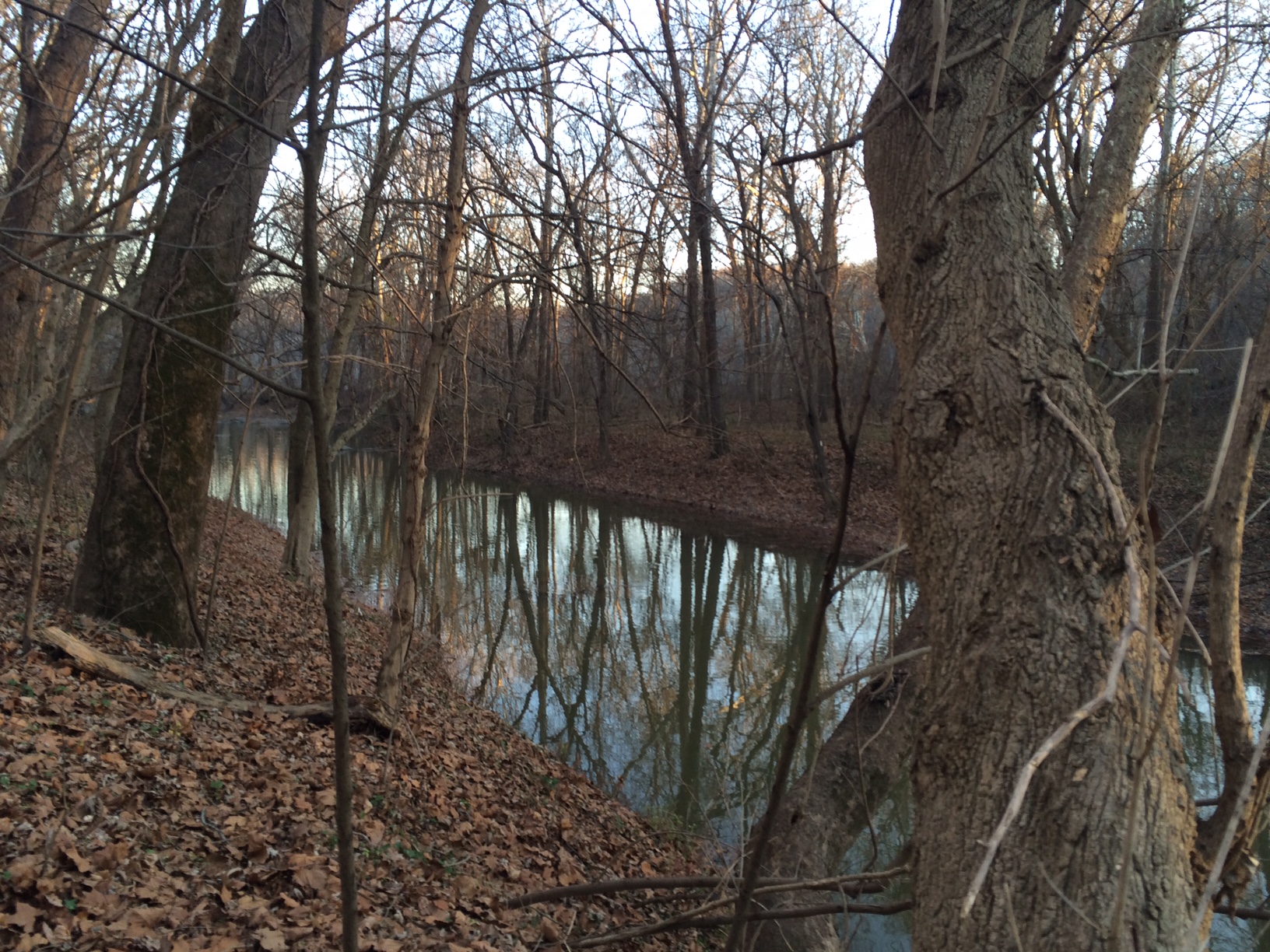 Plummers Island
