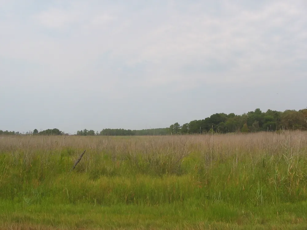 Kent Island