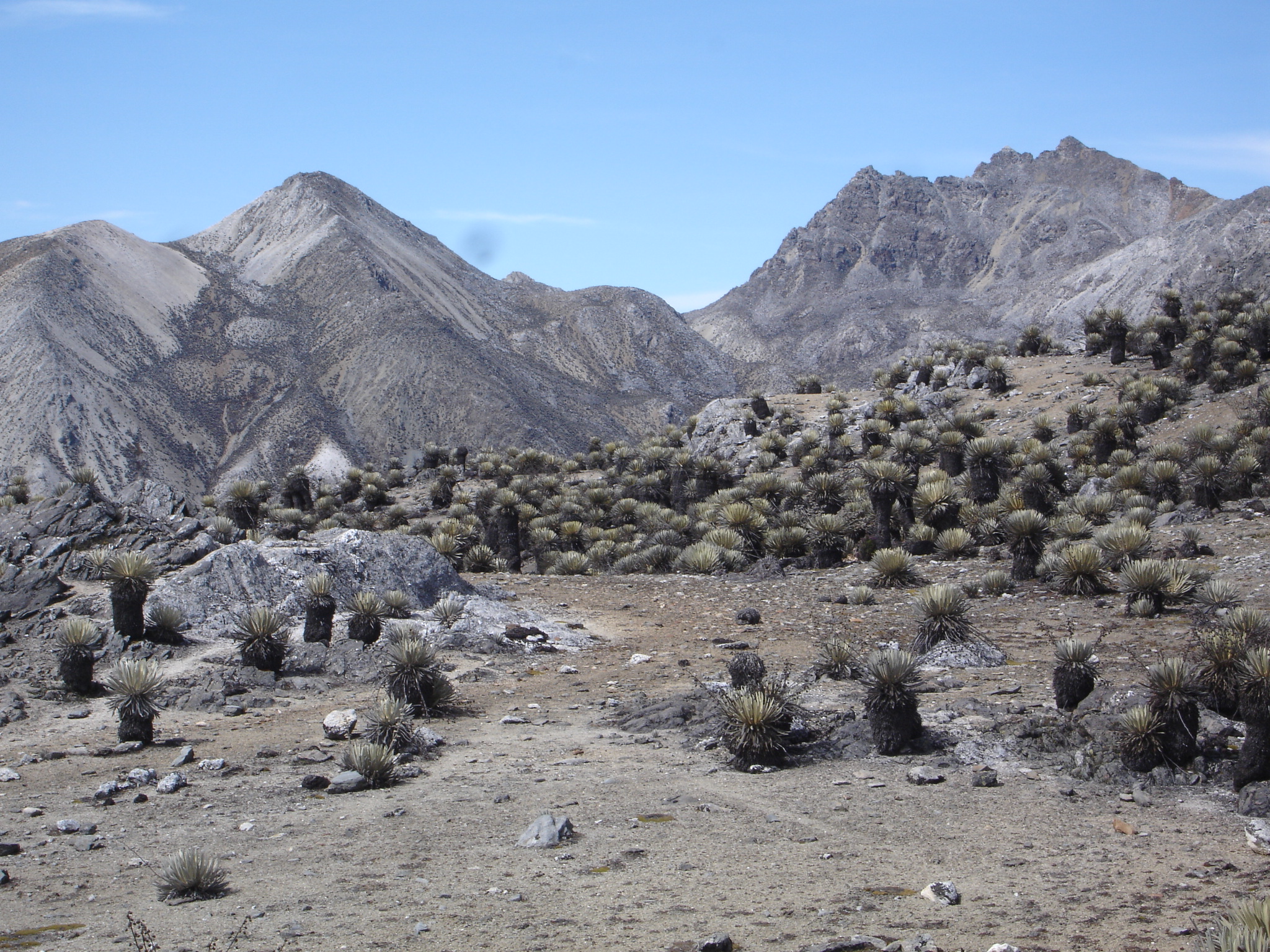 Pico Piedras Blancas