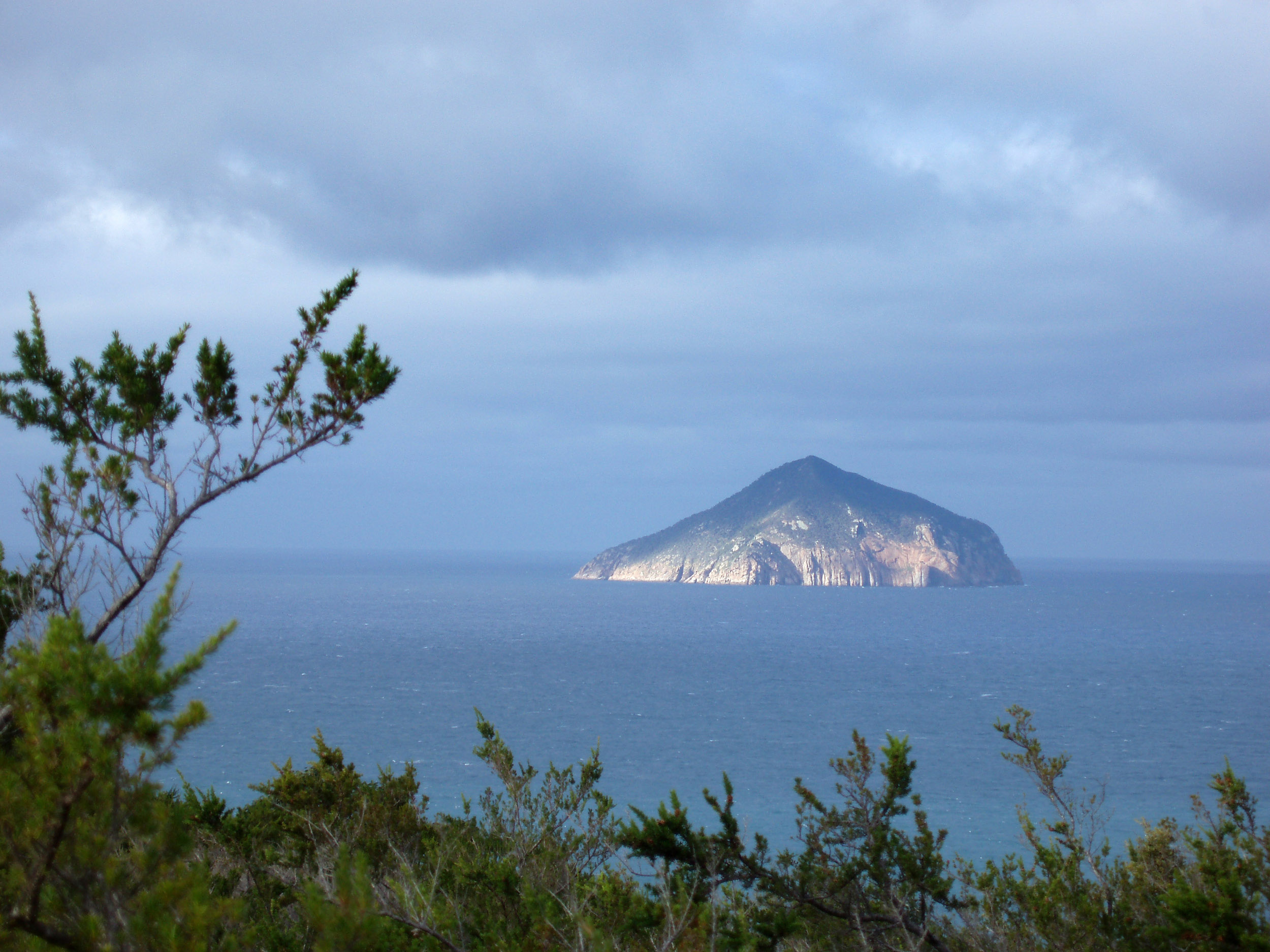 Rodondo Island