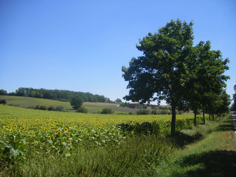 Salvagnac, France