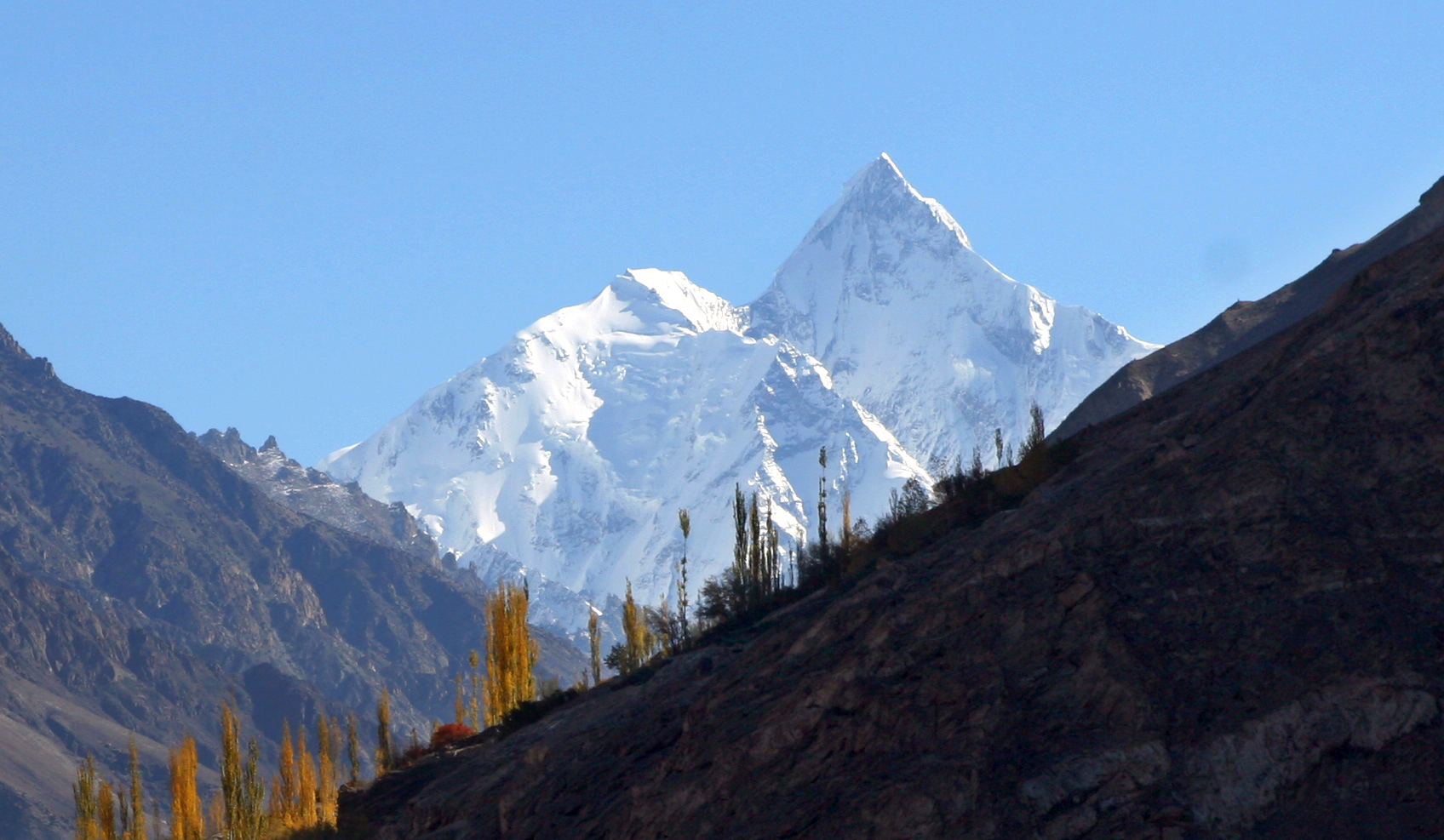 Lupghar Sar