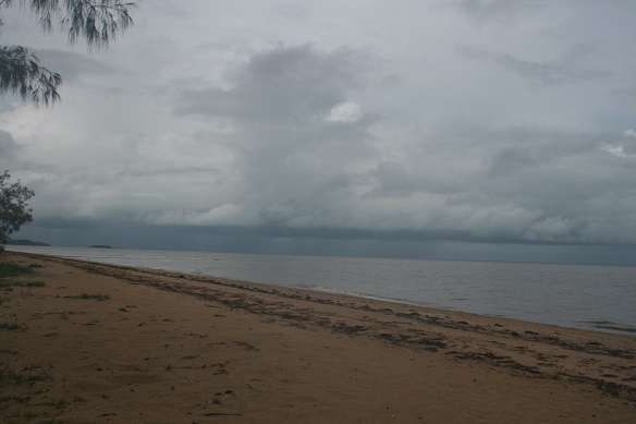Kurrimine Beach National Park