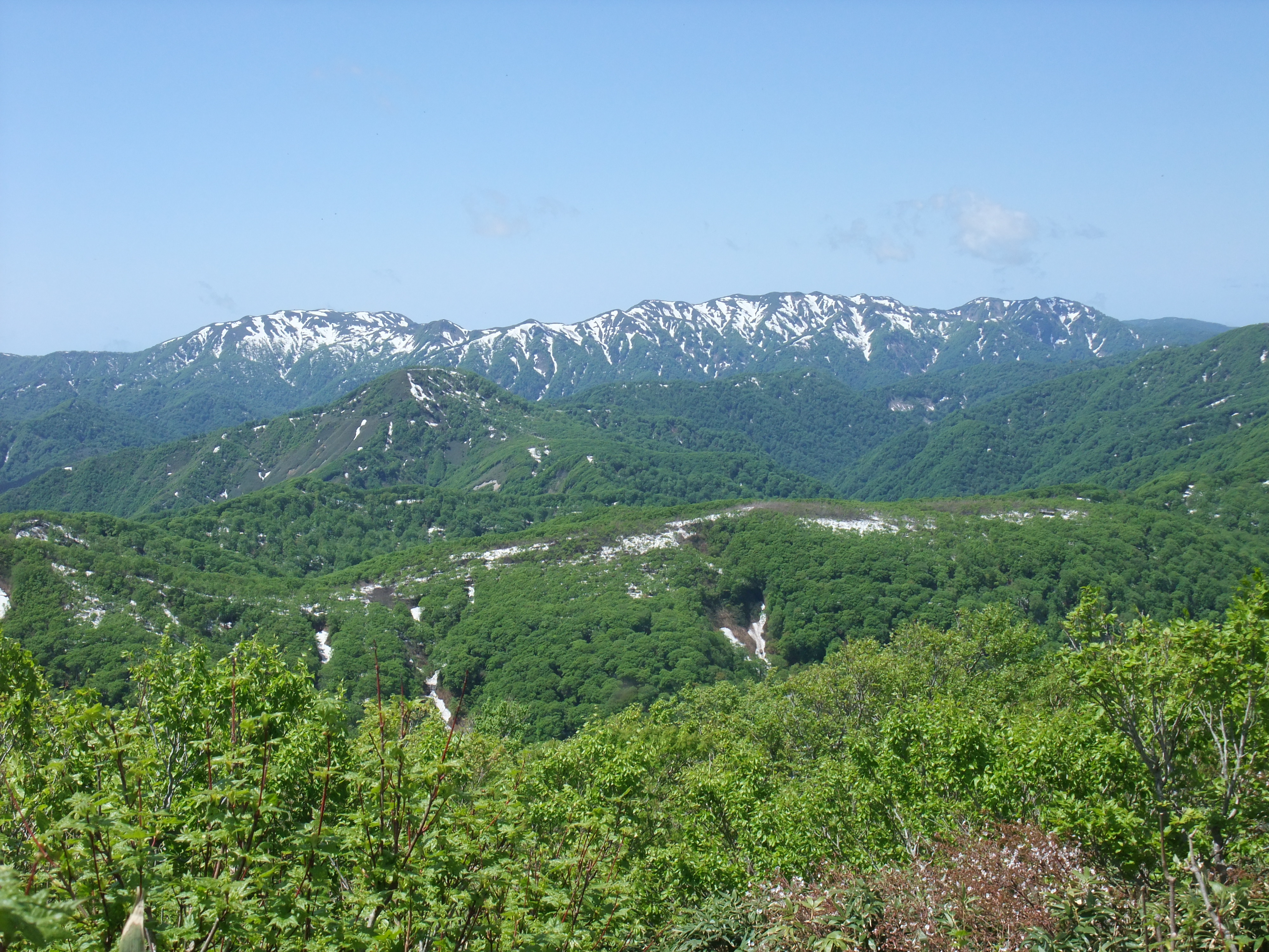 Shirakami-Sanchi