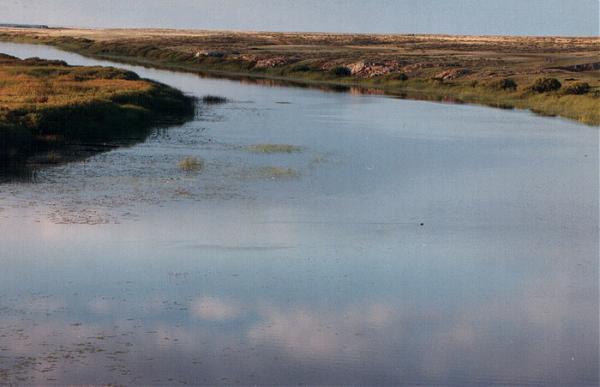 Turgay Plateau