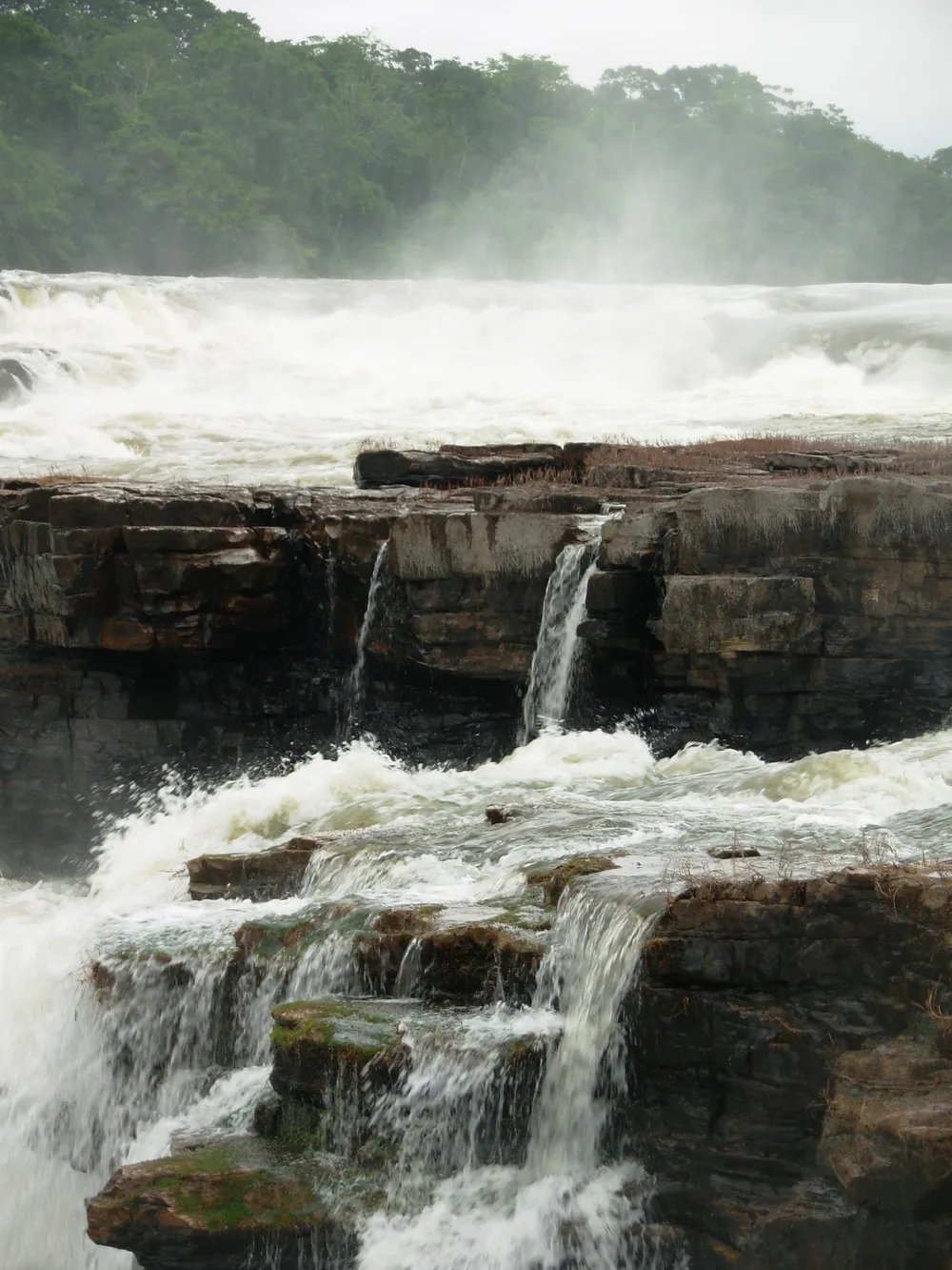 Juruena National Park