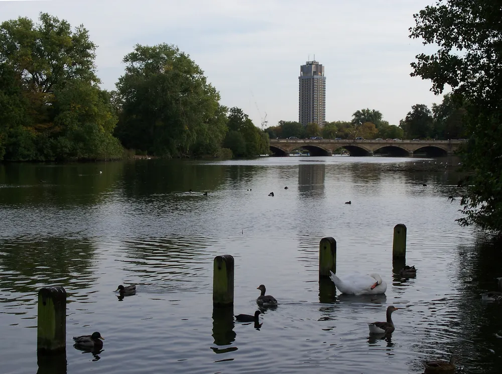 Serpentine