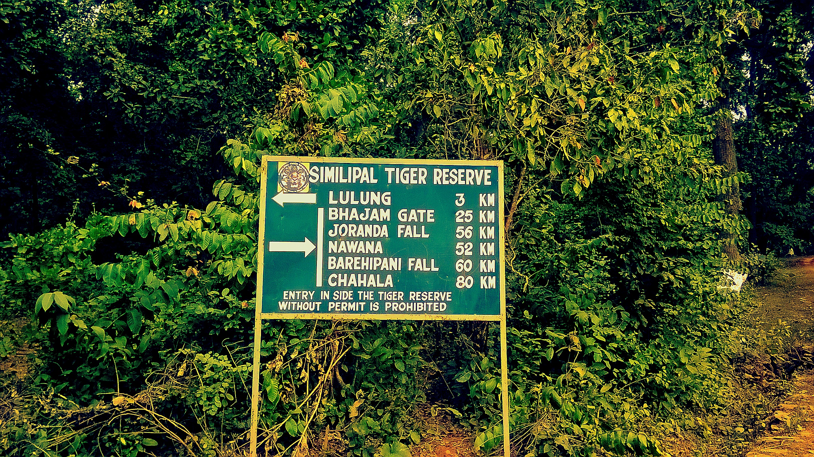 Simlipal National Park, India