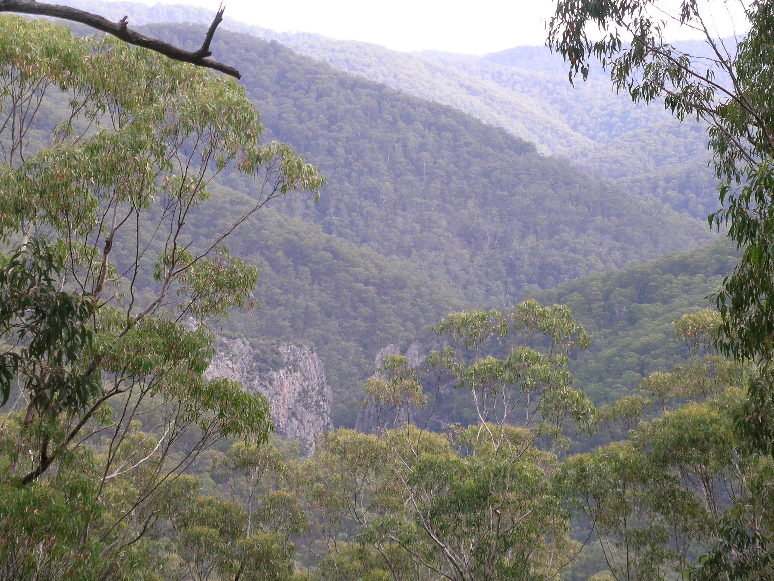 Nowendoc National Park