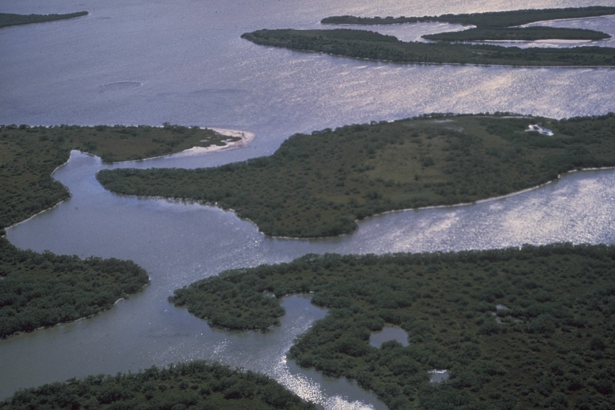 Canaveral National Seashore, United States