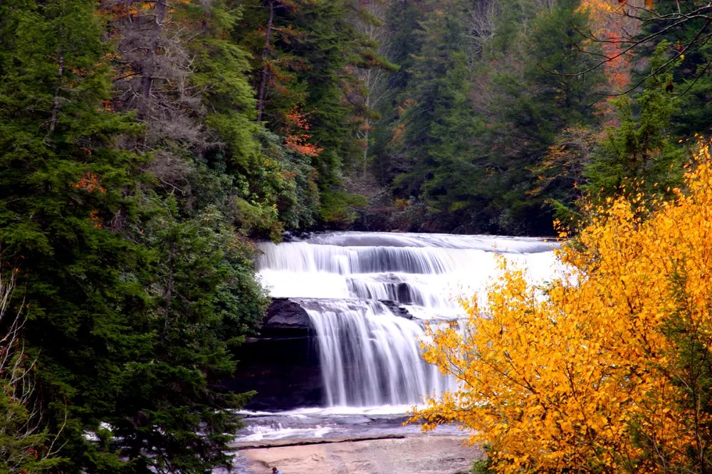 Brevard, United States